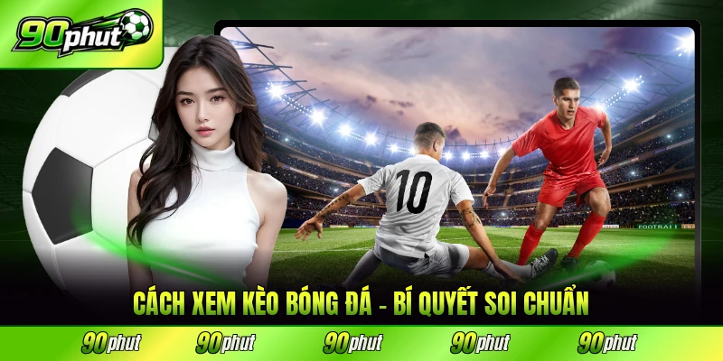 cách xem kèo bóng đá bí quyết soi chuyẩn