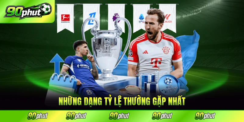 Những dạng tỷ lệ thường gặp nhất trên thị trường